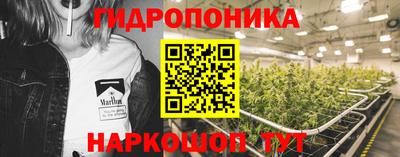 хмурый Абакан
