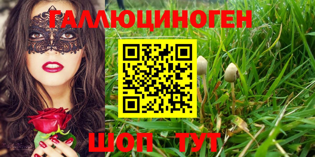 Псилоцибиновые грибы мицелий  Вход с VPN  Абинск 